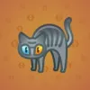 Scared Cat #15843
