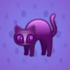 Scared Cat #16196