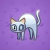 Scared Cat #16493