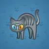 Scared Cat #16678