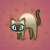Scared Cat #16879