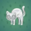 Scared Cat #17524
