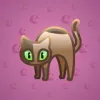 Scared Cat #17679