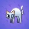 Scared Cat #17701