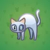 Scared Cat #17722