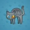 Scared Cat #17738