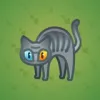 Scared Cat #2871