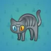 Scared Cat #2972