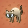 Scared Cat #3250