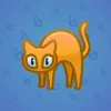 Scared Cat #3375