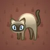 Scared Cat #348
