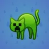 Scared Cat #3784
