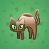 Scared Cat #3971
