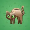 Scared Cat #416