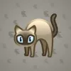 Scared Cat #4699