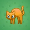 Scared Cat #4900