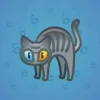 Scared Cat #5052