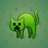 Scared Cat #5094