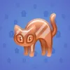 Scared Cat #535