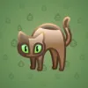 Scared Cat #5472