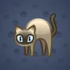 Scared Cat #5540
