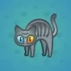 Scared Cat #5574