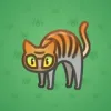 Scared Cat #5964