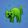 Scared Cat #6074
