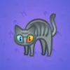 Scared Cat #6453