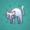 Scared Cat #6554
