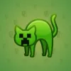 Scared Cat #6565