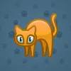 Scared Cat #7337