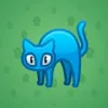 Scared Cat #7343