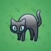 Scared Cat #7478