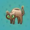 Scared Cat #7749