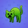 Scared Cat #7805