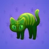 Scared Cat #8497