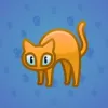 Scared Cat #8651