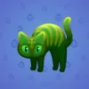 Scared Cat #8741