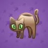 Scared Cat #8908