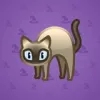 Scared Cat #9368