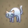 Scared Cat #9429