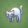 Scared Cat #9555