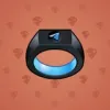Signet Ring #1013