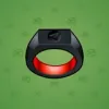Signet Ring #1060