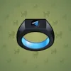 Signet Ring #1213