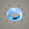 Signet Ring #1260