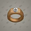 Signet Ring #1309