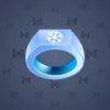 Signet Ring #1382