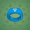 Signet Ring #1736